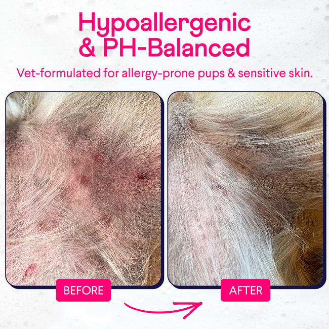 Finn_Fur_Hero_Listing_Image_Before_After_2.jpg