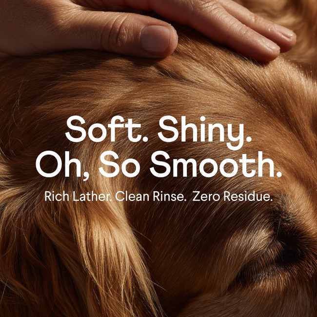 Finn_Fur_Hero_Listing_Shiny_Fur.jpg
