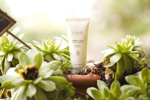 Snail Slime Foot Cream