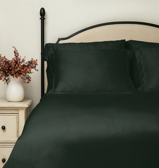 Delara AirySilk Austrian Eucalyptus Tencel Duvet Set