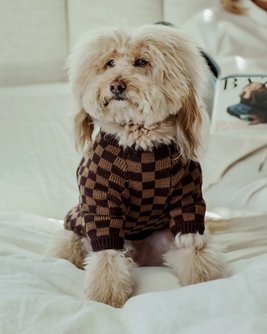 Arlo Brown Check Dog Sweater