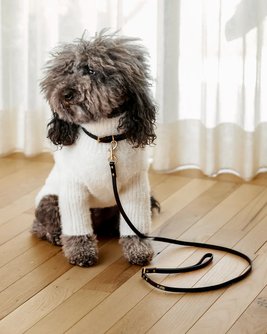 Cannon Black Leather Dog Leash