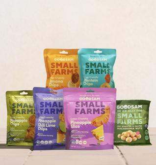 Summer Snackable Bundle