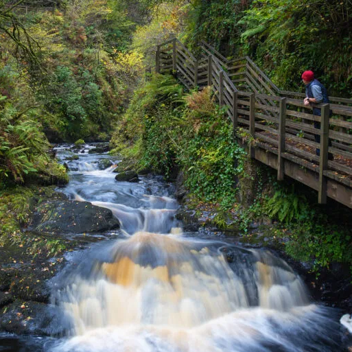 Glenariff-Nature-Reserve-Waterfalls-Walk-Co_master-1-768x513.webp