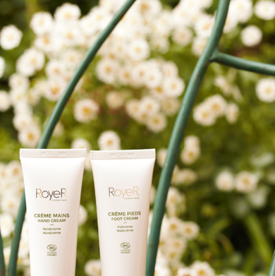 Hand Cream.png