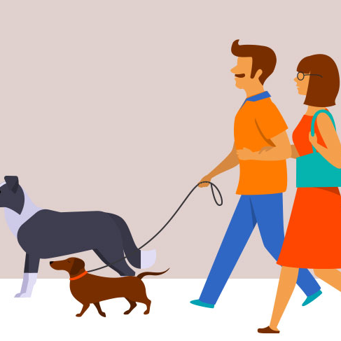 Average Dog Parent to Walk Their Dog 1,560 Miles This Year