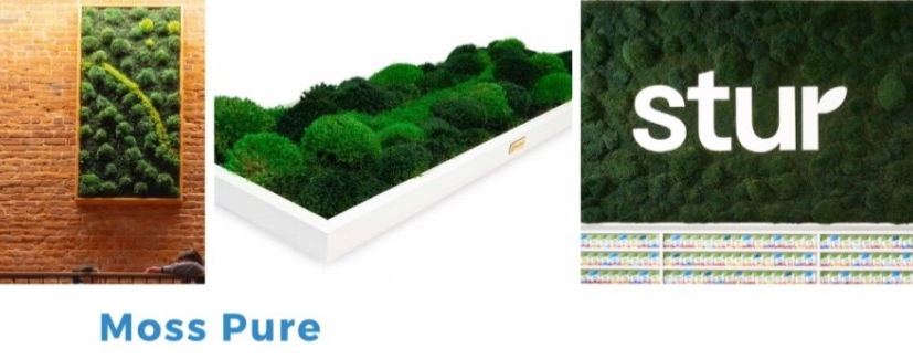 Moss Pure