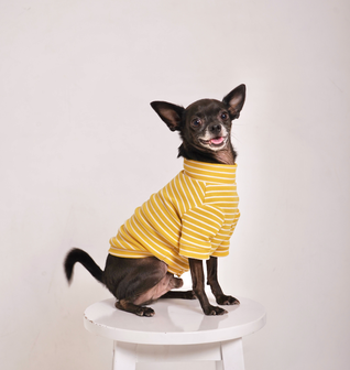 Pooch Couture