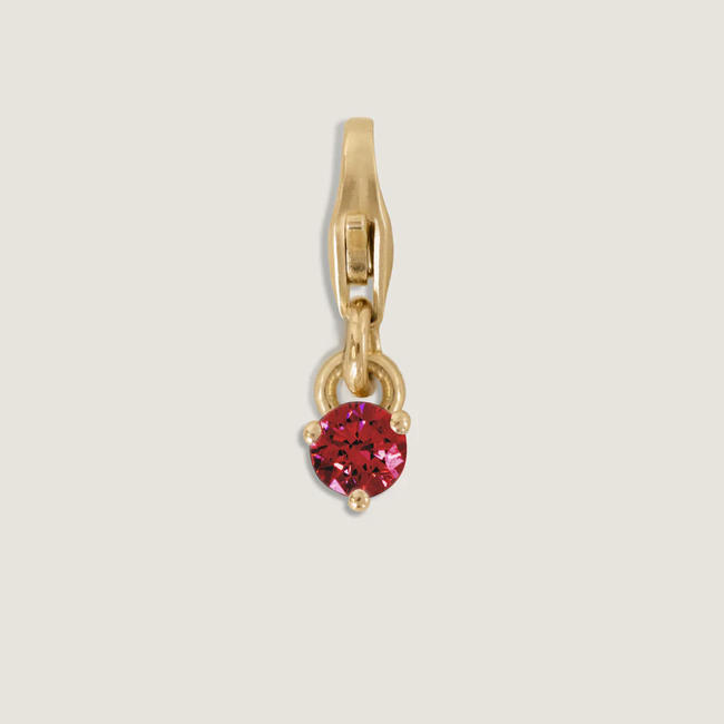 IMG_4102-low-ruby.webp