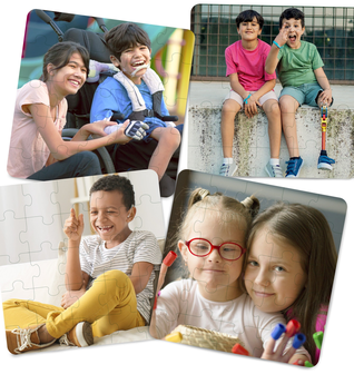 Inclusion Puzzle