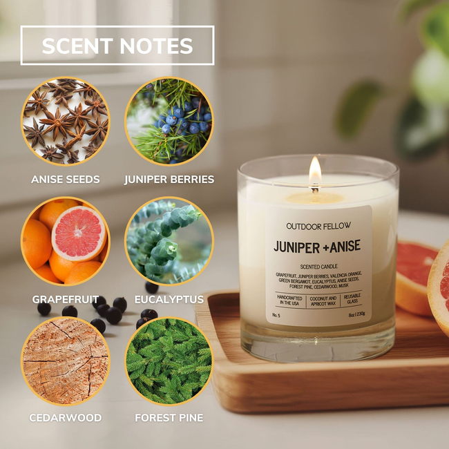 Juniper Anise Scent Notes Infographic.jpg