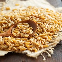 KAMUT® Brand Wheat Encourages Mindful Eating During National Nutrition Month