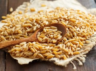 KAMUT® Brand Wheat Encourages Mindful Eating During National Nutrition Month