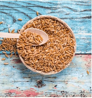 KAMUT® Brand Wheat