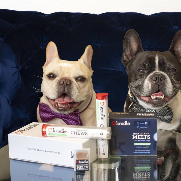 Kradle Draws Industry Recognition After Just Three Months on the Market