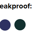 LEAKPROOF THONG.png