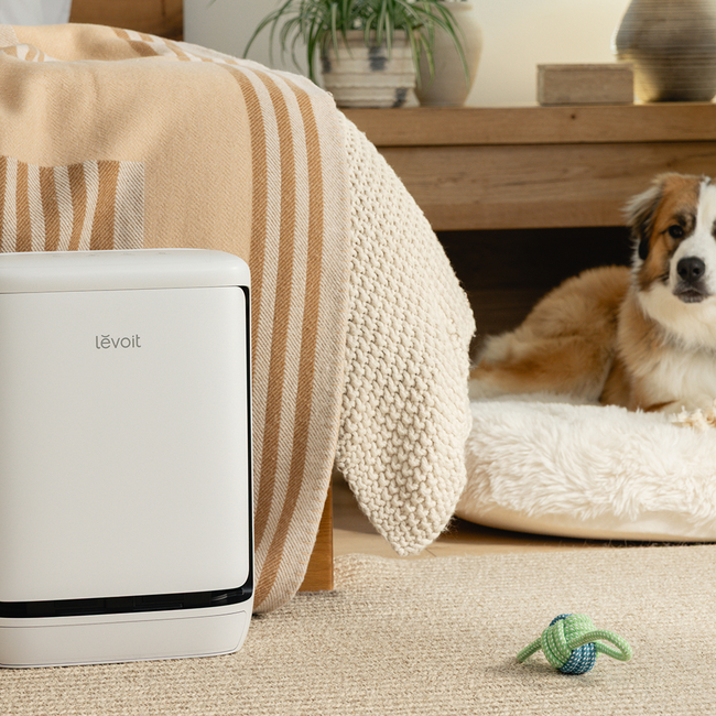 Levoit Vital Pet Pro_5.jpg