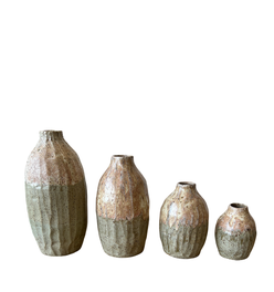 Lichen Vase Collection