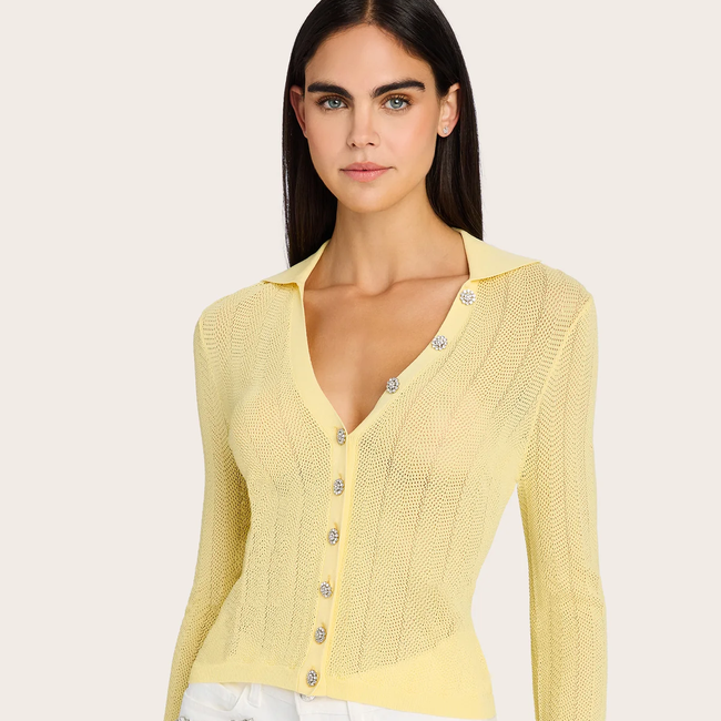 MEGAN_YELLOW_CAROLYN_WHITE_0022.webp