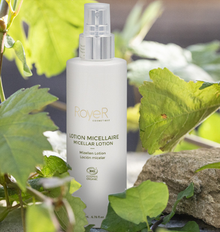 Snail Slime Micellar Lotion