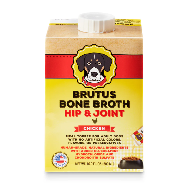 MiniChickenBrutusBrothFront.webp