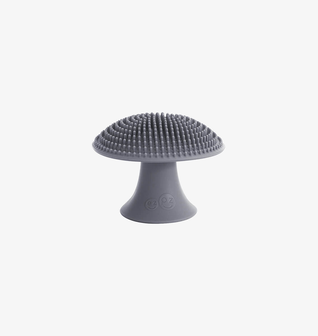 Mushroom Sponge