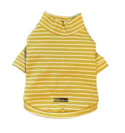 Mustard Cotton Turtleneck