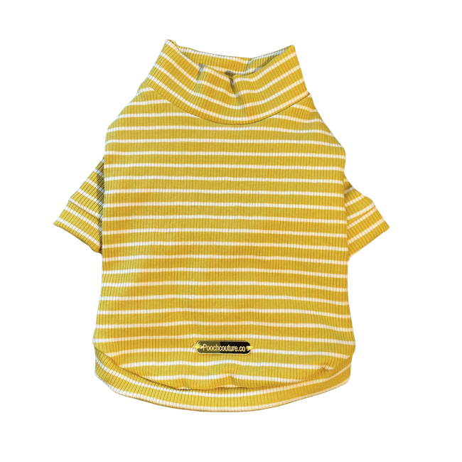 Mustard Cotton Turtleneck.png