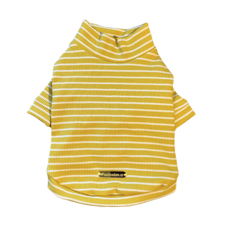 Mustard Cotton Turtleneck