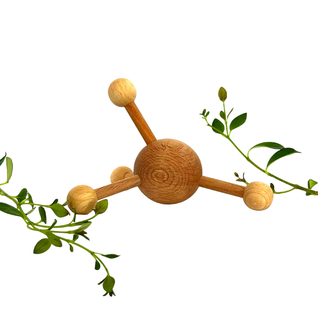 Natural wood body massager
