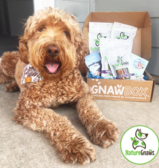 Nature Gnaws Gnaw Box - Subscription Box of Natural Dog Chews