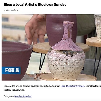 Gina DeSantis on Fox 8 News