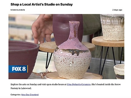 Gina DeSantis on Fox 8 News