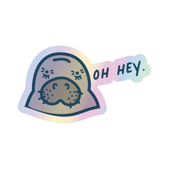 Oh Hey Holographic Sticker