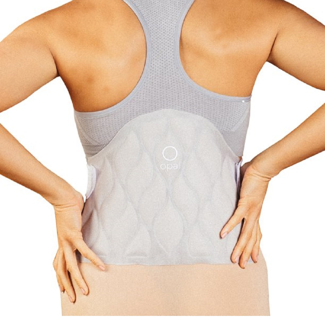 Opal Cool One (Back, Hip, Belly) Mist 140-6B-11101-3 on White.jpeg