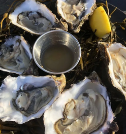 A taste of the Wild Atlantic Way