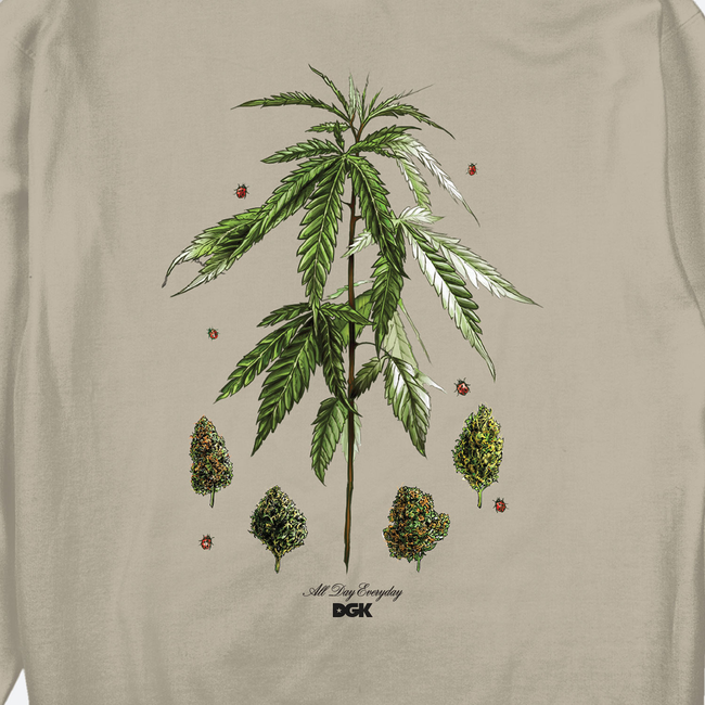 PFP1289_DGK_BotanicalSocietyHoody_Sand_Back_Close.jpg