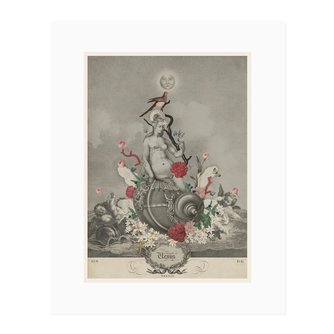 Triumph of Venus Print