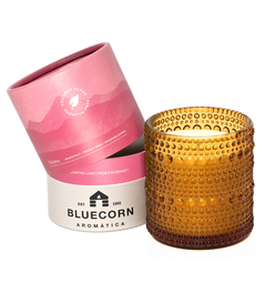 Paloma - Grapefruit Scented Coconut Wax Candle