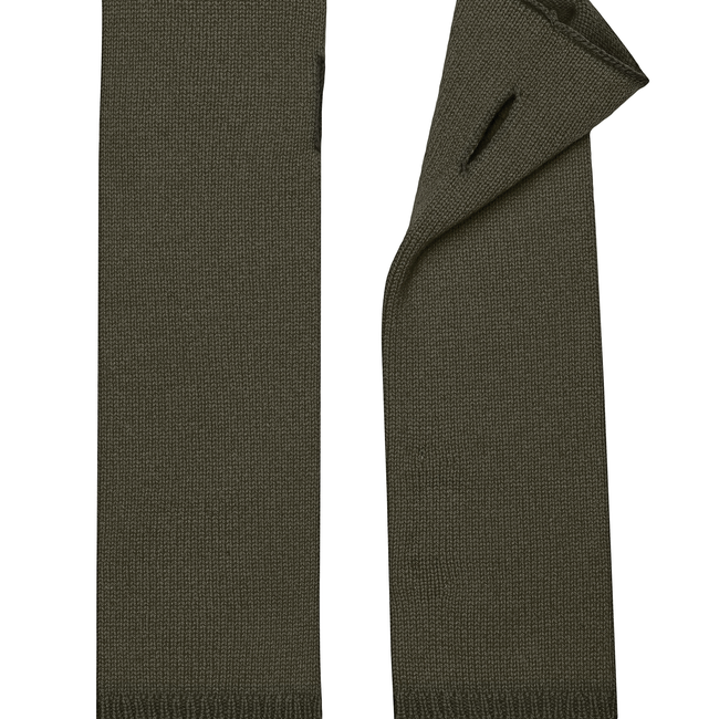 Pianissimo_waverly cashmere glovelettes_loden.jpg