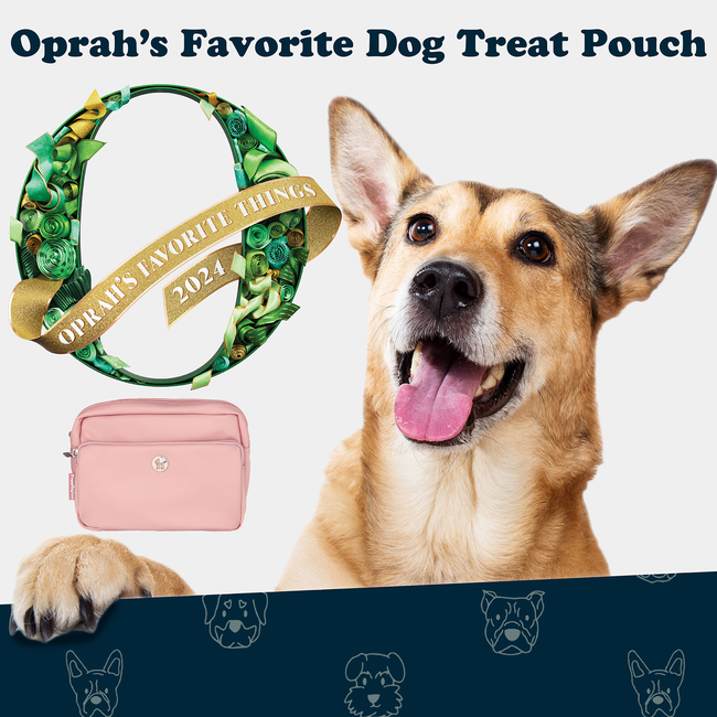 Pink oprah dog-small.jpg