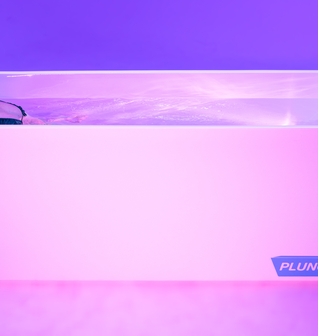 Plunge