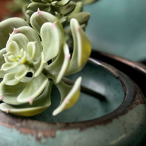 Gina DeSantis Ceramics Launches Seasonal Color