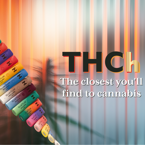 Mellow Fellow Introduces New 0.5g THCh Disposable Vapes in Eight Exclusive Strains