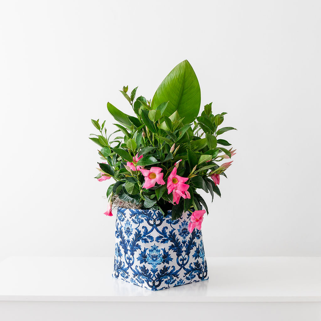 S23BlueDamask-Floral1.jpg