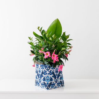 Small Blue and White Limited-Edition So.CachePot Planter Cover