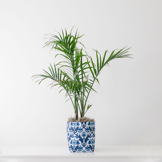 Large Blue and White Limited-Edition So.CachePot Planter Cover
