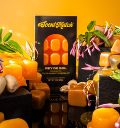 SM_ReydeSol_Hero_SQ (2).jpg