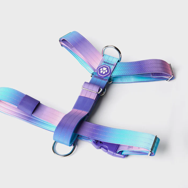 STRAP-HARNESS_TEAL-BLUE_01_700x