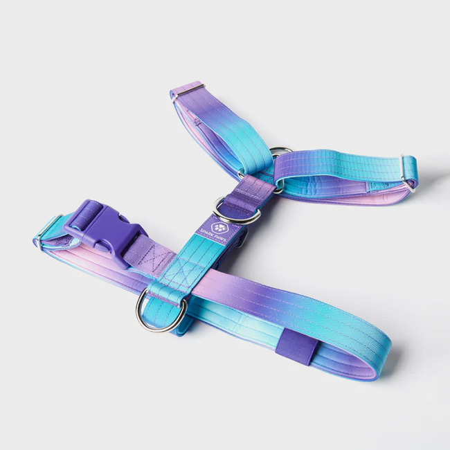 STRAP-HARNESS_TEAL-BLUE_02_700x